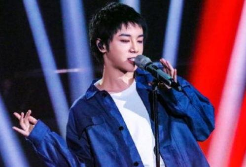 娱乐八卦吃瓜张碧晨华晨宇,揭秘背后的故事  第1张